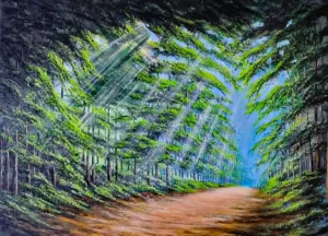 Camino de Luz