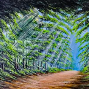 Camino de Luz