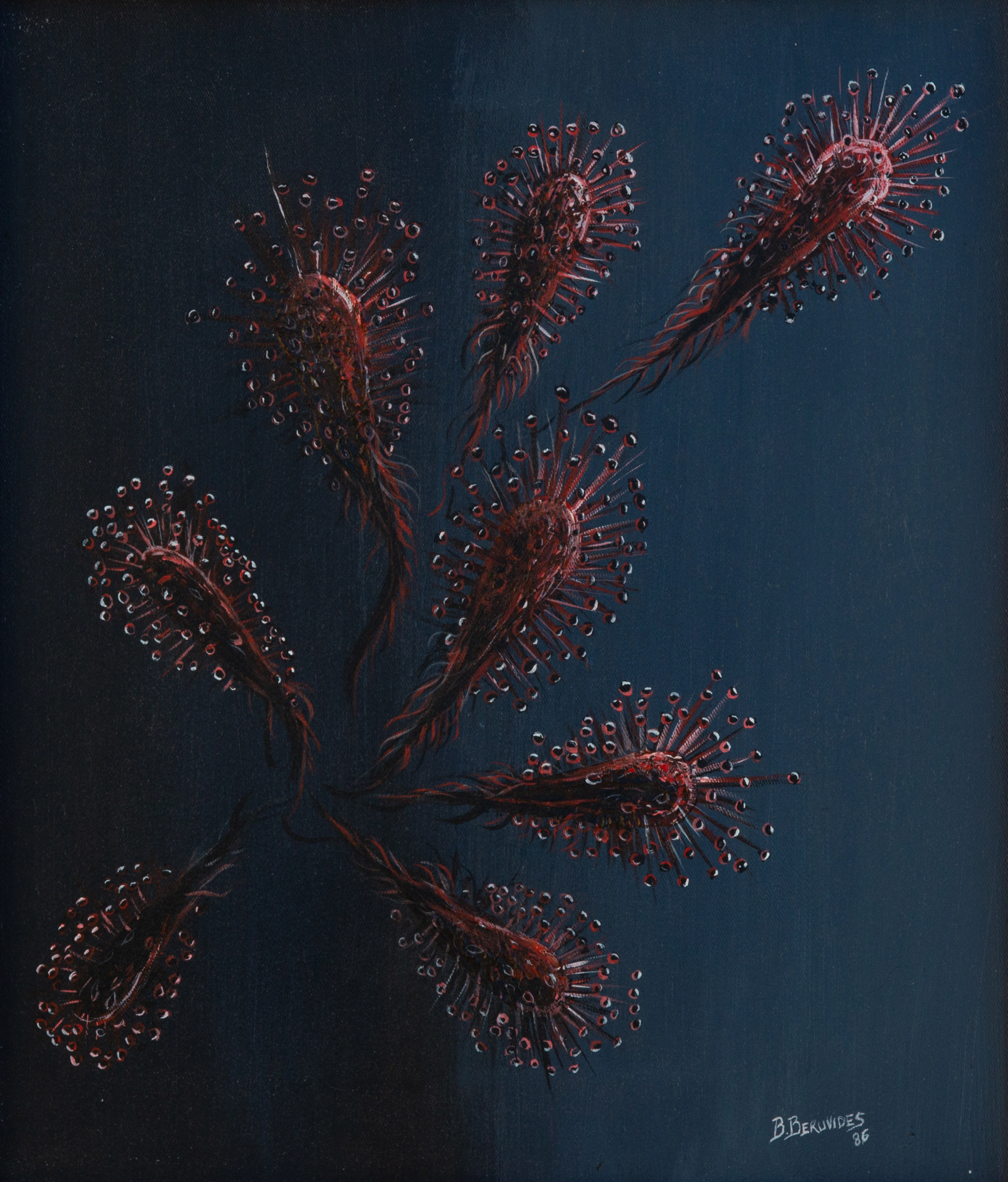 Obra de Arte: Otoño en Australia