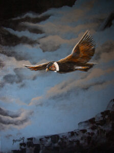 El vuelo del Condor