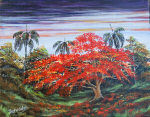 Flamboyan Cubano