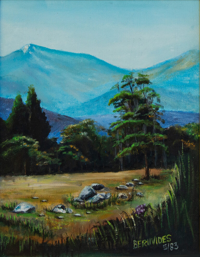 Valle cerca del pico Bolivar